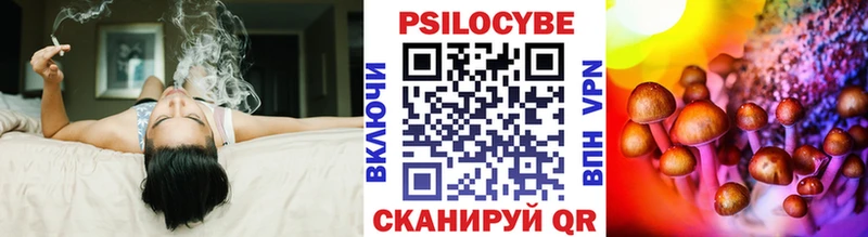 Псилоцибиновые грибы Psilocybine cubensis Любань
